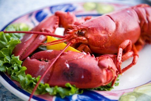 lobster-0003