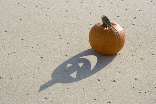 pumpkin in the sand_905476